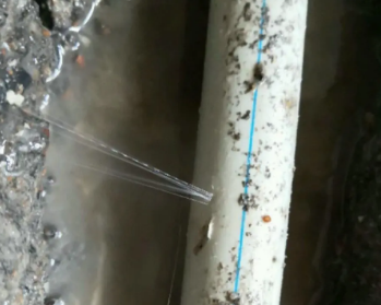 阿巴嘎旗卫生间测漏水多少钱